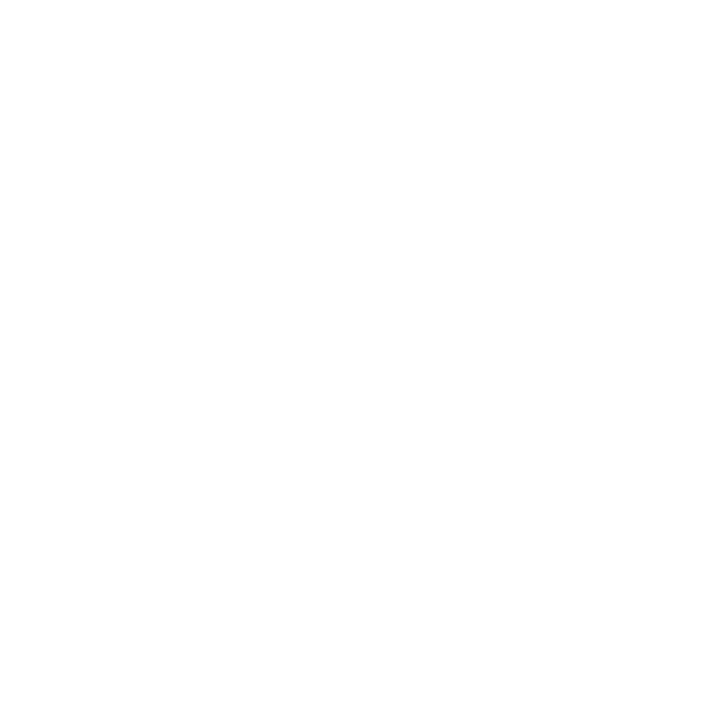 BZ_SLF_Bilder_logo_Weiss